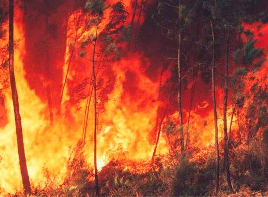 Protecção alerta para risco de incêndio florestal