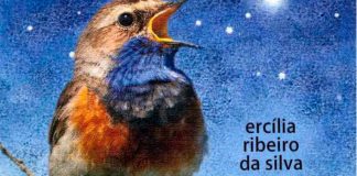 Livro de Ercília Ribeiro da Silva apresentado este sábado