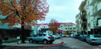 Processo revolucionário em trânsito