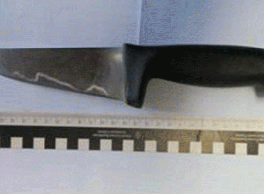 Faca encontrada na posse de aluno do 1º ciclo