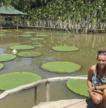 A VIAJAR: À descoberta da floresta Amazônica