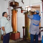 alambique6
