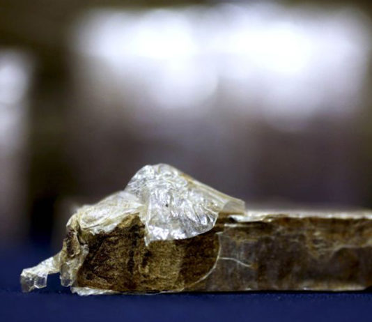 Jovem do Carriço detido por tráfico de droga