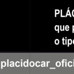 banner_placido