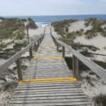 60359293_600991477072204_5401513745199398912_n