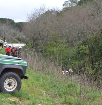 Criança de 11 anos morre em violenta colisão no IC8