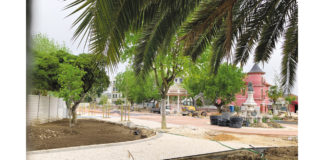 Obras do Jardim do Cardal terminam no final de Julho