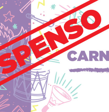 Carnaval de Figueiró dos Vinhos suspenso