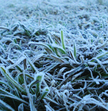Concelho em alerta amarelo até quarta-feira