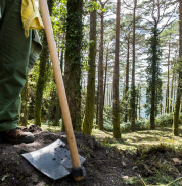 Pombal tem cinco freguesias prioritárias para fiscalização da gestão de combustível