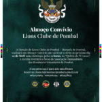 Lions
