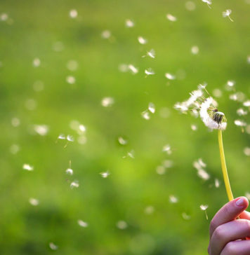 Primavera: Tempo de alegrias e de alergias