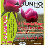 festa da cuca