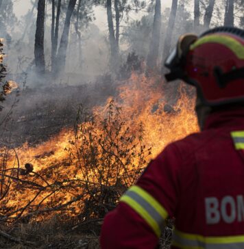 Homem detido por provocar incêndio florestal no Souto (Vila Cã)