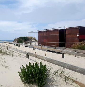 Osso da Baleia pode ter Apoio Completo no próximo Verão