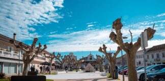 Guia: Mercado de Páscoa anima Largo do Rossio de 2 a 6 de Abril