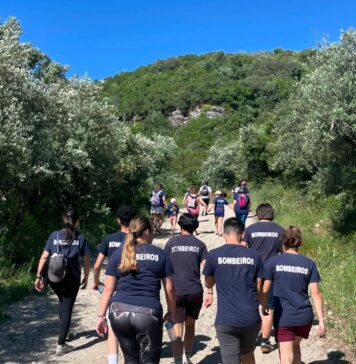 Ansião celebra feriado municipal com programa institucional e arraial solidário