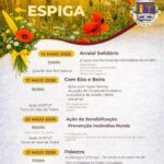 Dia da Espiga