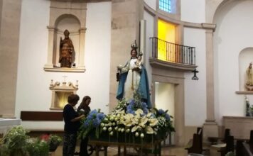 Uma noite inteira para pôr a Senhora do Cardal em flor