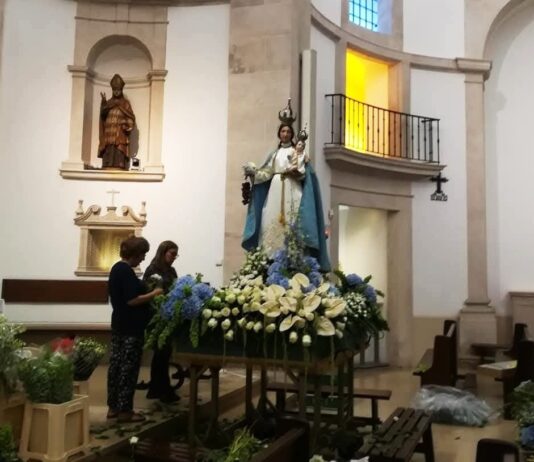 Uma noite inteira para pôr a Senhora do Cardal em flor